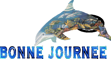 J'ADDORT LES DAUPHINS